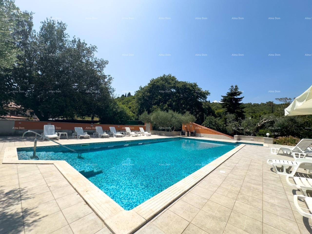 Großer Swimmingpool mit blauen Mosaikfliesen und zahlreichen Liegestühlen unter strahlend blauem Himmel.