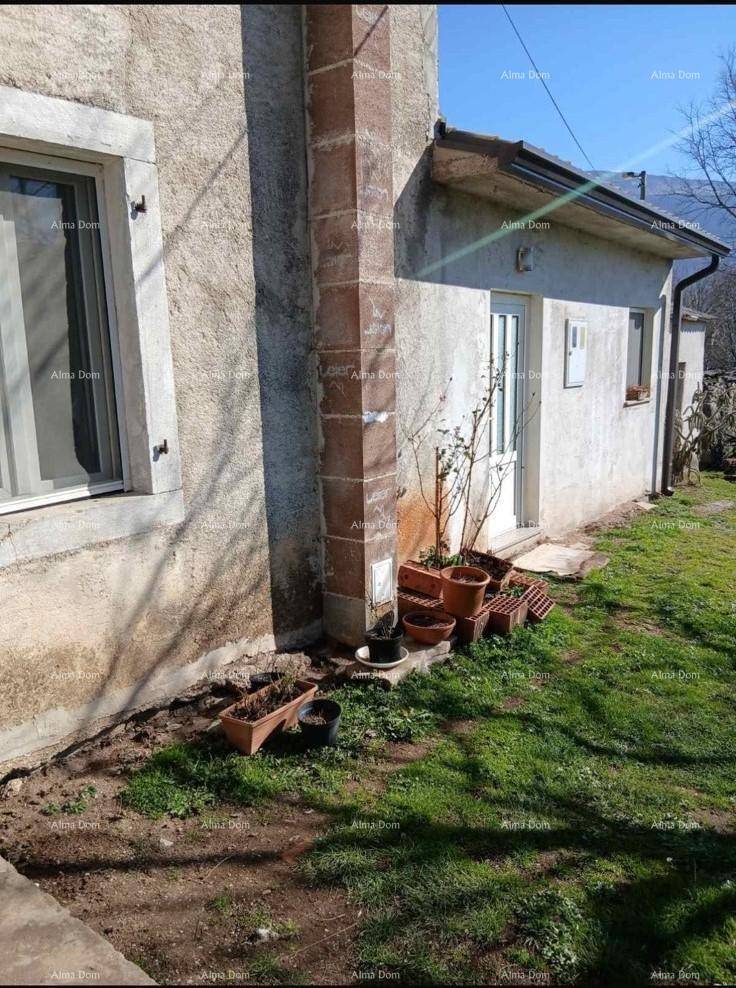 Seitenansicht des Hauses mit Fenstern, einem kleinen Gartenbereich und Topfpflanzen im Sonnenlicht.