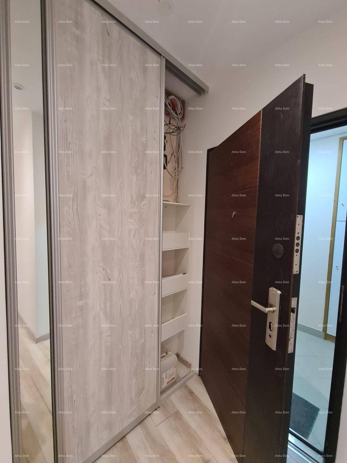 Eingangsbereich mit Sicherheitstür und einem Einbauschrank mit Spiegeltür.