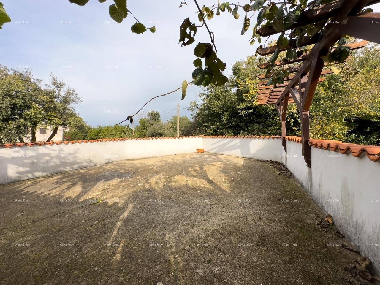 Ungepflegter Gartenbereich mit niedriger Mauer und einer Holzpergola, umgeben von Bäumen.