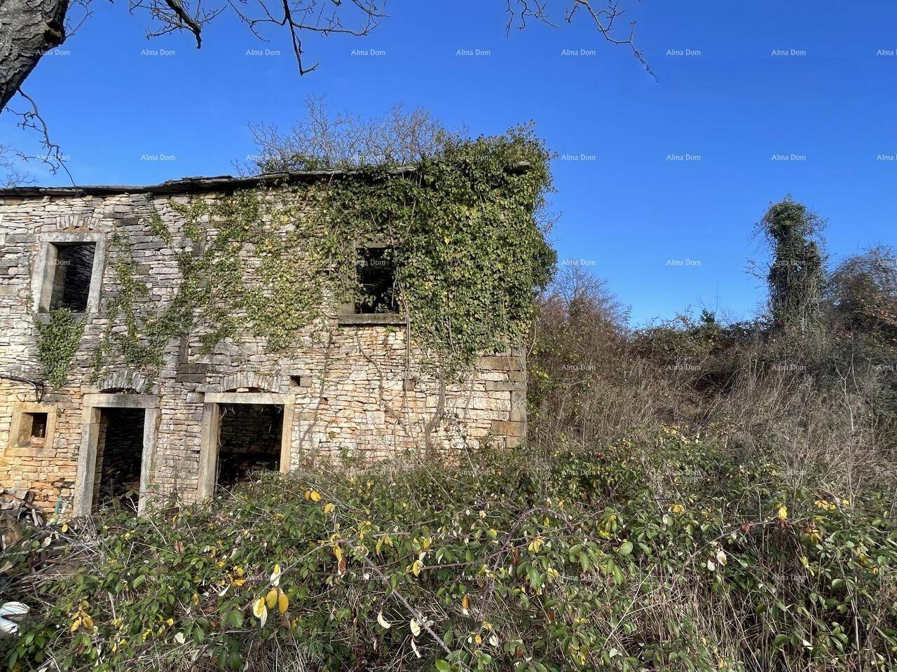 Verfallenes Steinhaus unter blauem Himmel, umgeben von wilder Vegetation und Bäumen.