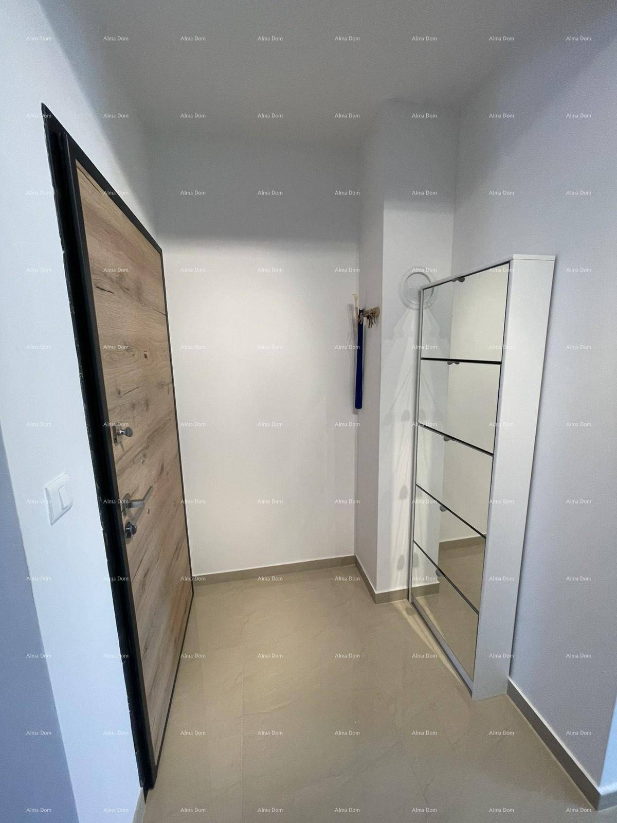 Eingangsbereich mit moderner Holztür und praktischem Schuhschrank mit Spiegelfront.