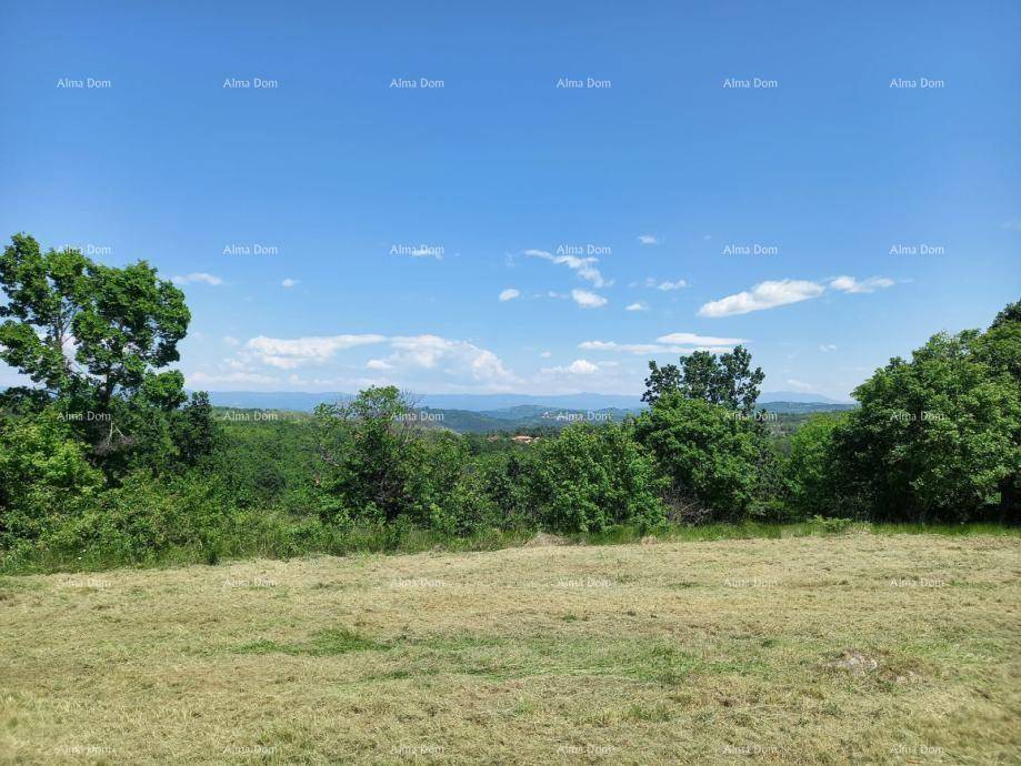Panoramablick über eine grüne Landschaft mit Bäumen und Bergen am Horizont unter blauem Himmel.