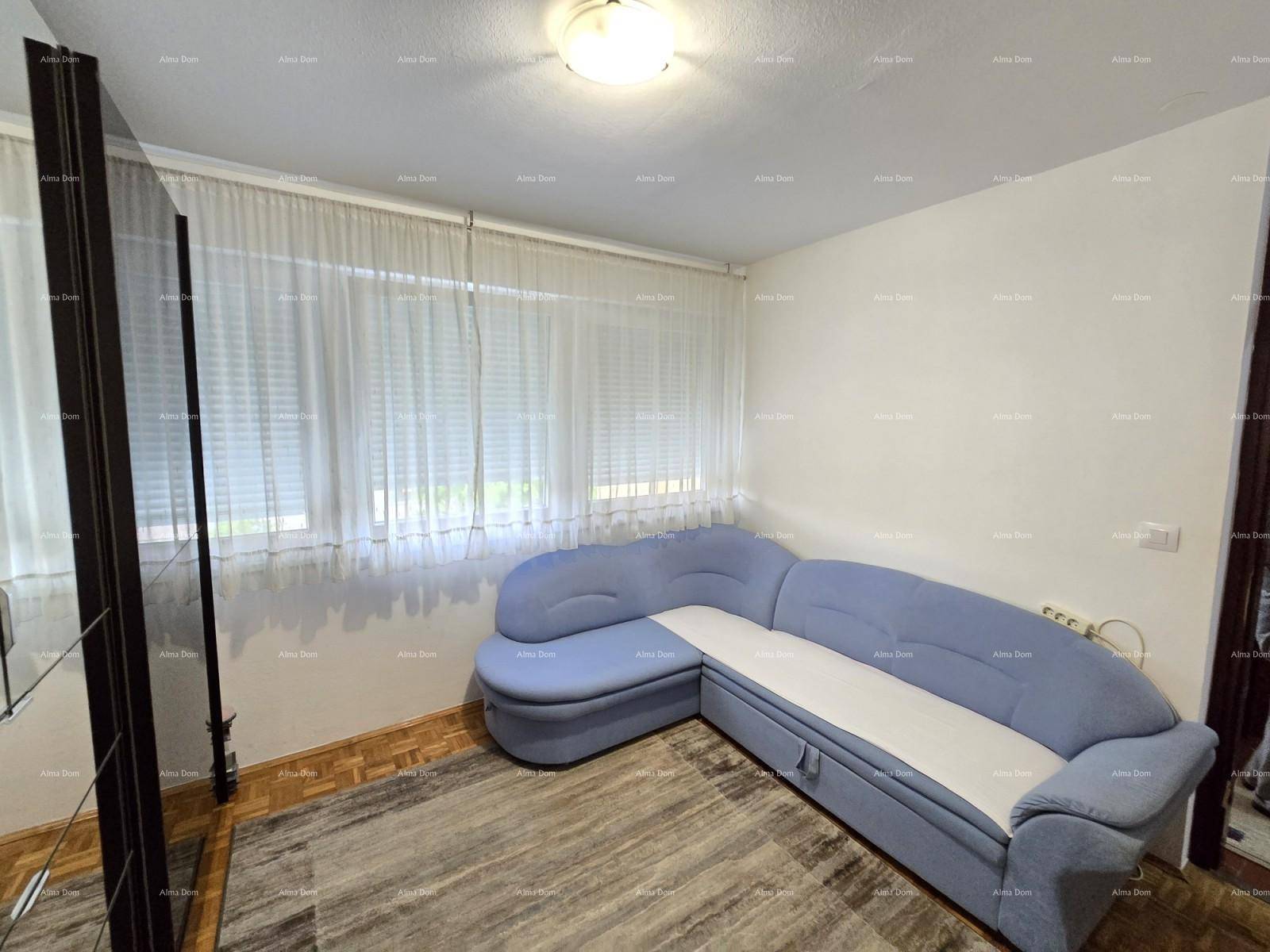 Helles Zimmer mit bequemem blauen Ecksofa und großem Fenster für viel Tageslicht.