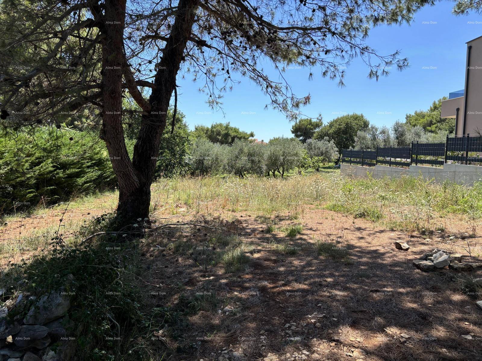 Sonniges Grundstück mit mediterraner Vegetation, Bäumen und Blick auf die natürliche Umgebung.