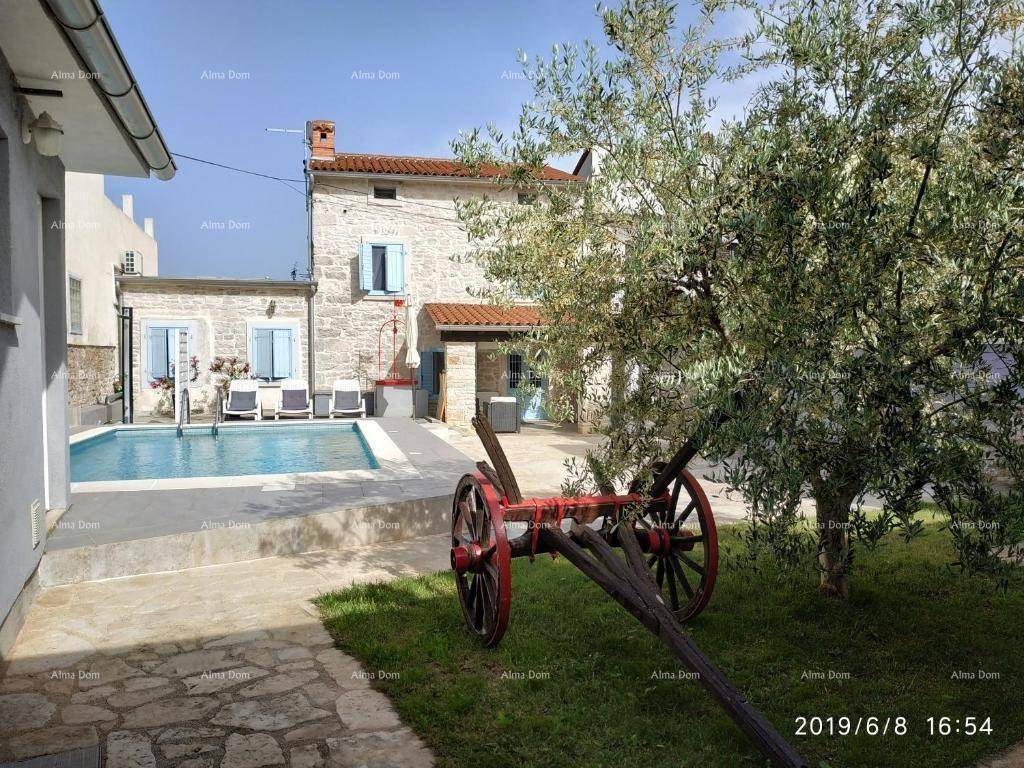 Gartenbereich mit Olivenbaum, dekorativem Holzwagen und Blick auf das Steinhaus mit Pool.