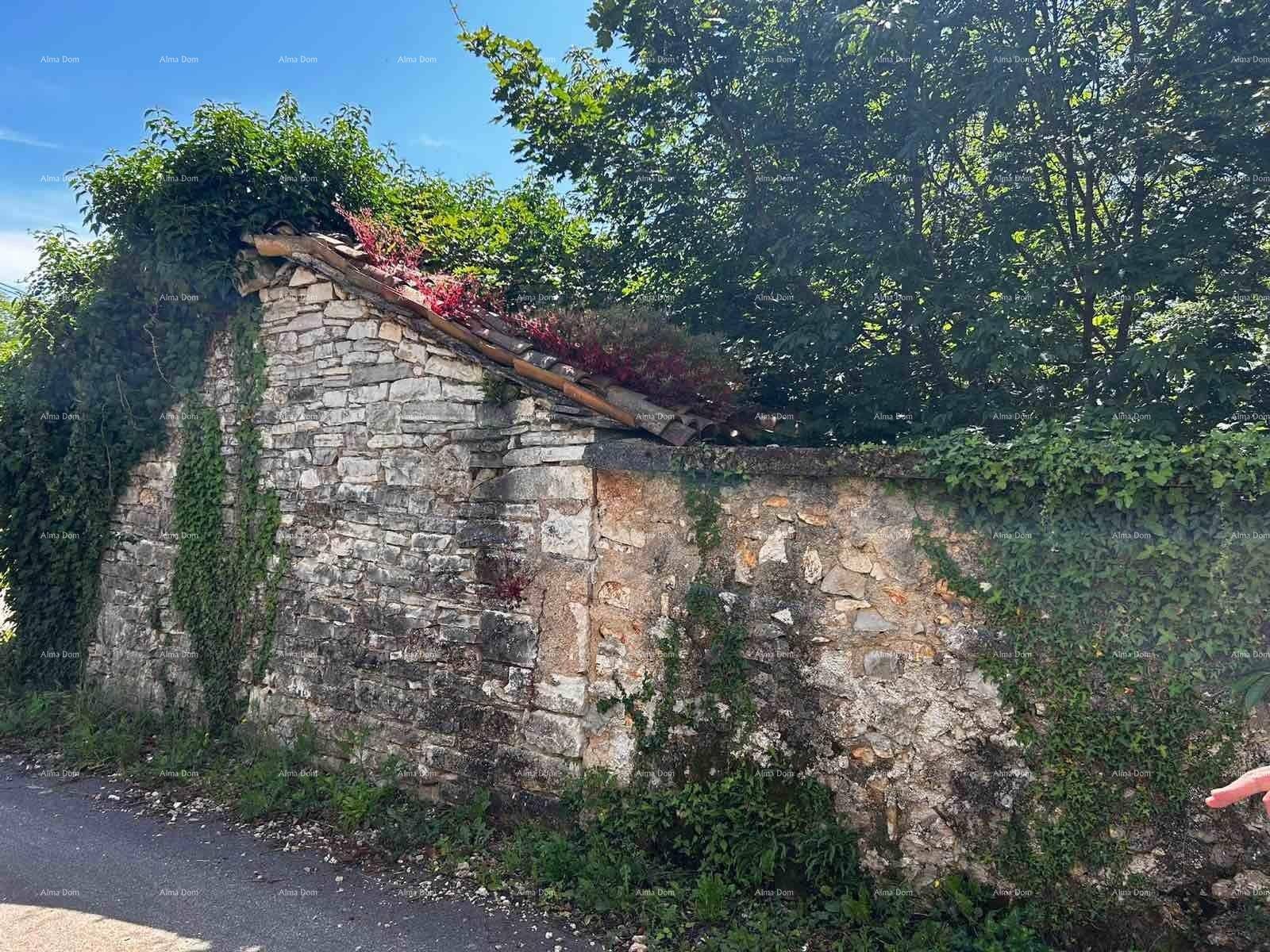 Alte Steinmauer mit Ziegeldach und Kletterpflanzen, die eine rustikale Grenze bildet.