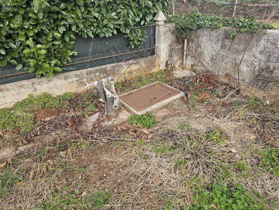 Nahaufnahme eines Versorgungszugangs im Boden, umgeben von Gras und einer grünen Hecke im Hintergrund.