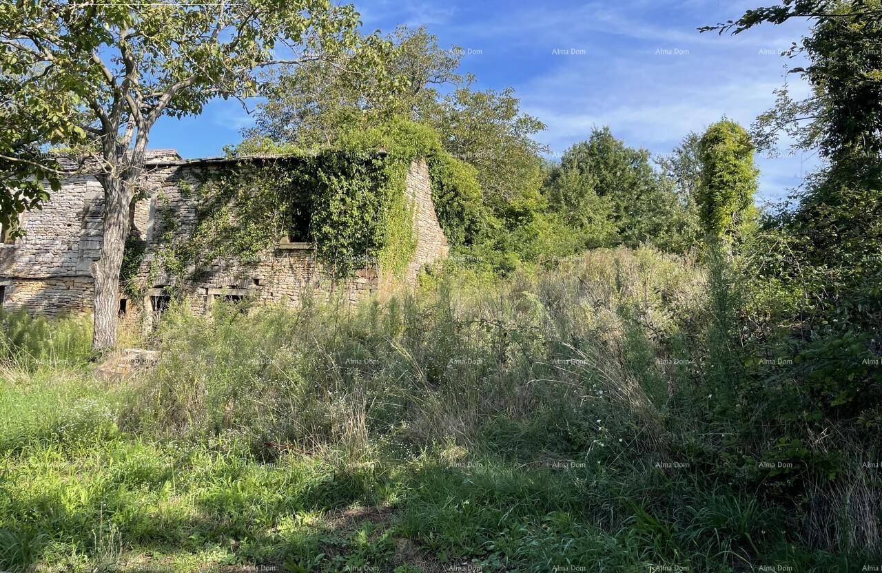 Altes Steinhaus im Hintergrund, umgeben von hoher Wiese und üppiger, grüner Vegetation.