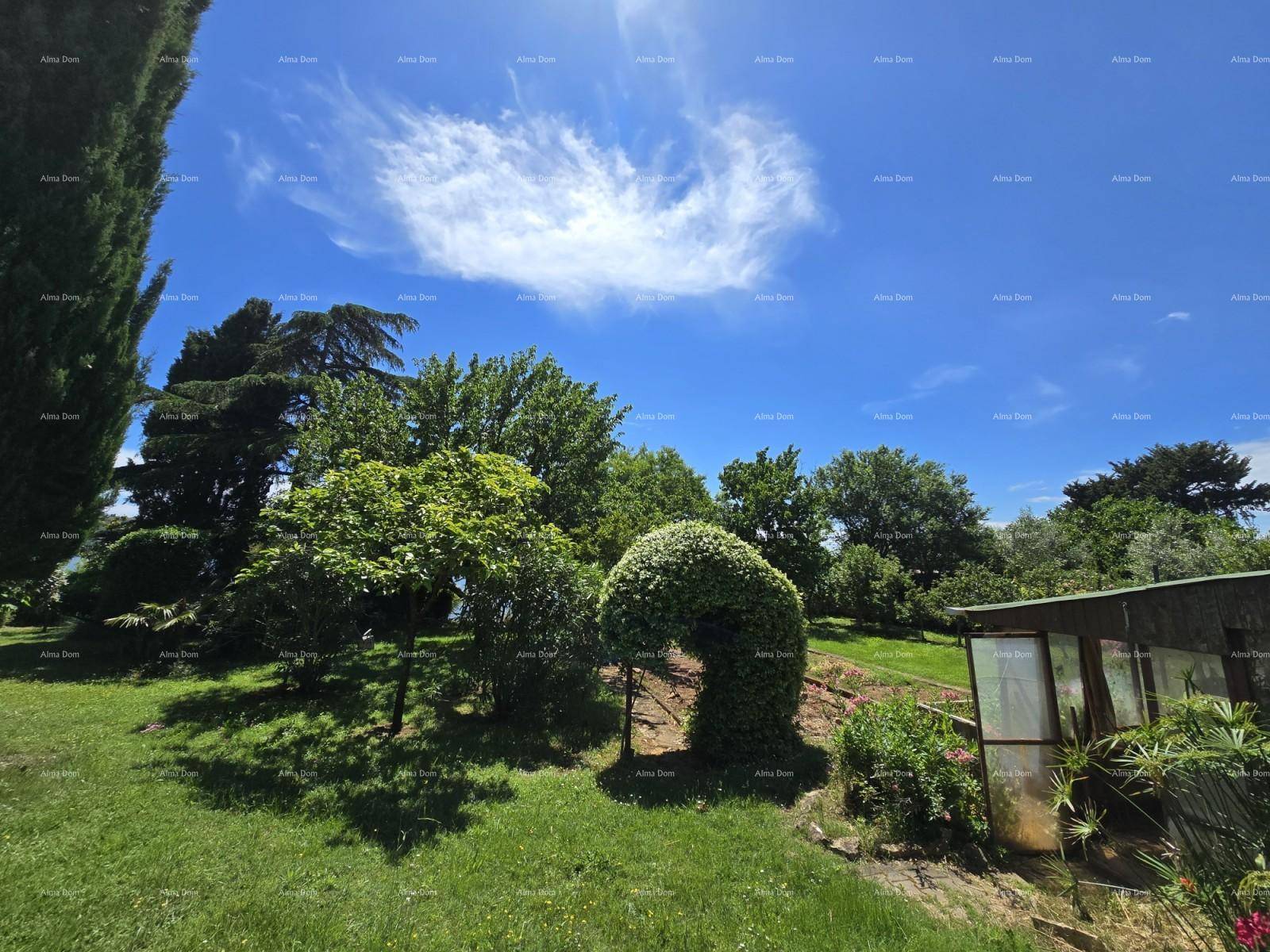 Sonniger Garten mit vielfältiger Bepflanzung und einem kleinen Gewächshaus oder Schuppen.