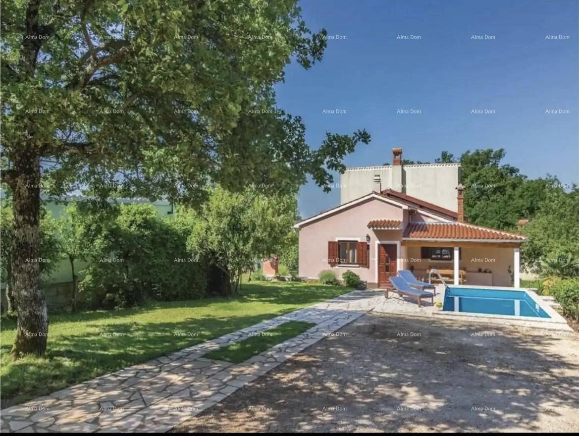 Weitläufiger Gartenbereich mit Rasenfläche, großem Baum und dem Haus mit Pool im Hintergrund.