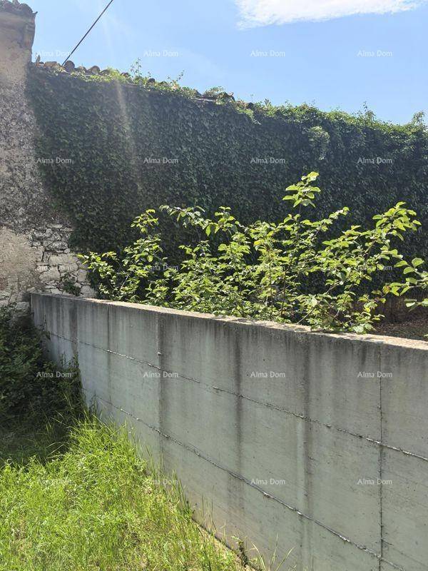 Betonstützmauer vor einer alten, mit Efeu bewachsenen Steinmauer und üppiger Vegetation.