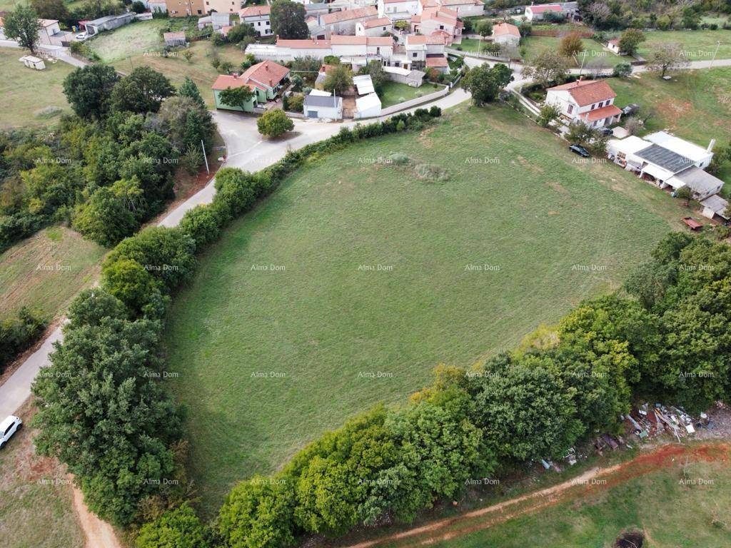 Panoramablick aus der Luft auf ein großes Feld, umgeben von Bäumen und einem kleinen Dorf mit Solaranlage.