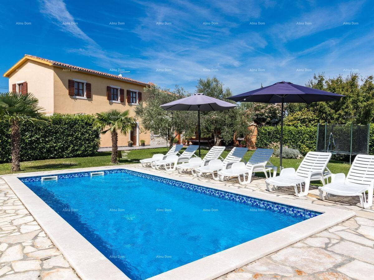 Außenbereich mit Swimmingpool, Liegestühlen und Sonnenschirmen unter blauem Himmel.