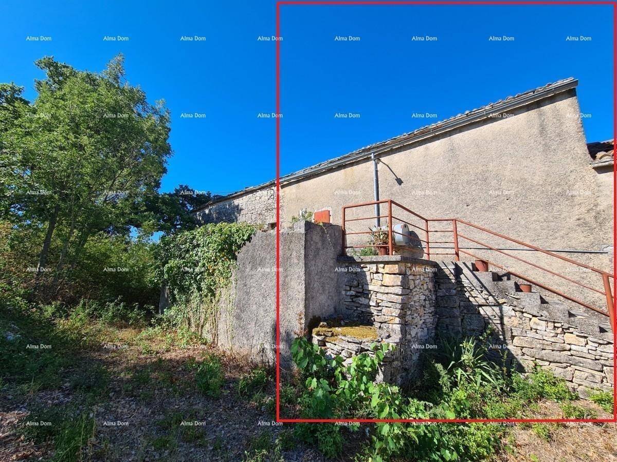 Seitenansicht des Gebäudes mit Außentreppe aus Stein und rostigem Geländer, umgeben von Vegetation.