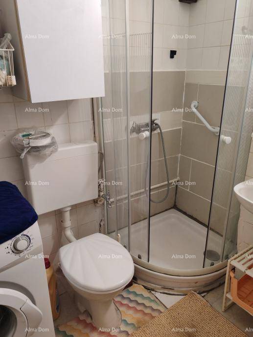 Kleines Badezimmer mit Toilette, Duschkabine und Waschmaschine, ausgestattet mit Haltegriffen.