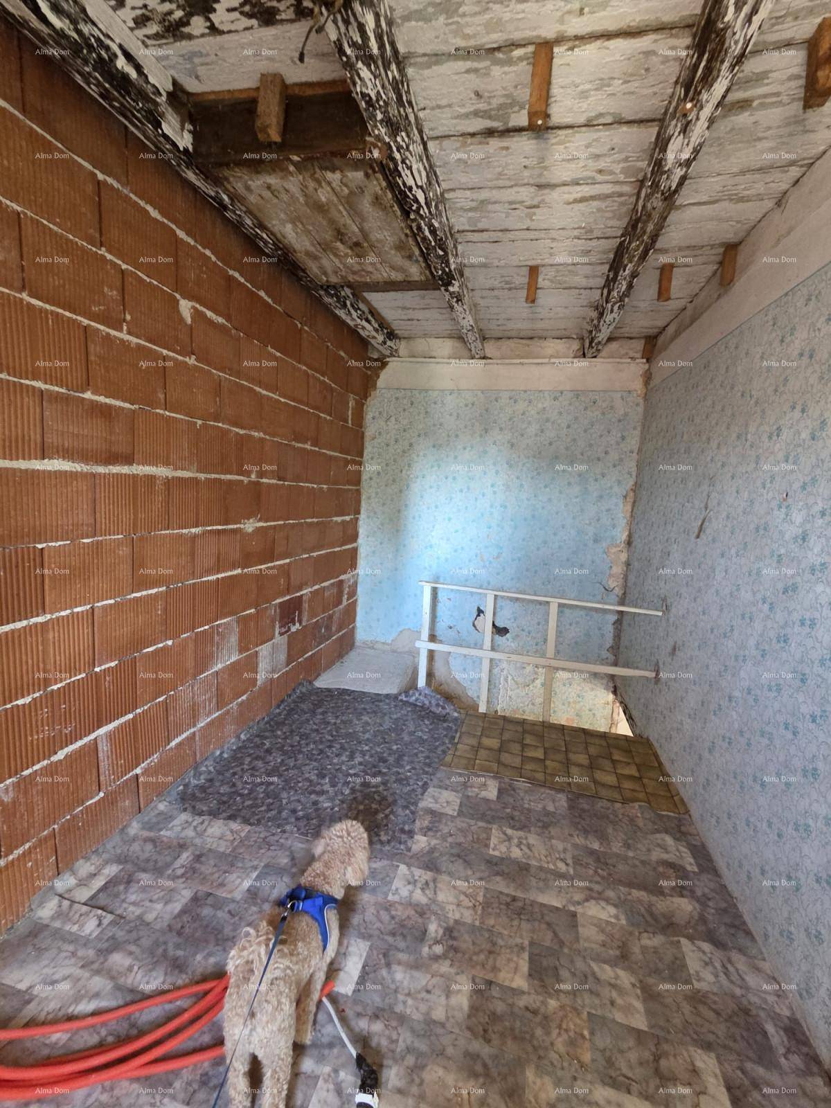 Raum im Rohbau mit unverputzten Ziegelwänden, sichtbaren Holzbalken und einem Hund auf dem Boden.