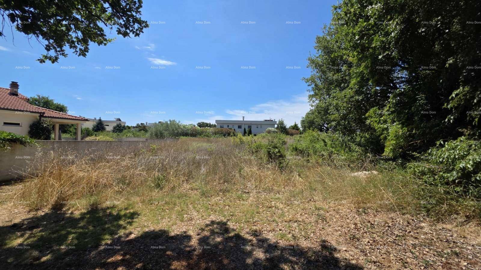 Weitläufiges unbebautes Grundstück mit trockenem Gras und Bäumen unter blauem Himmel.