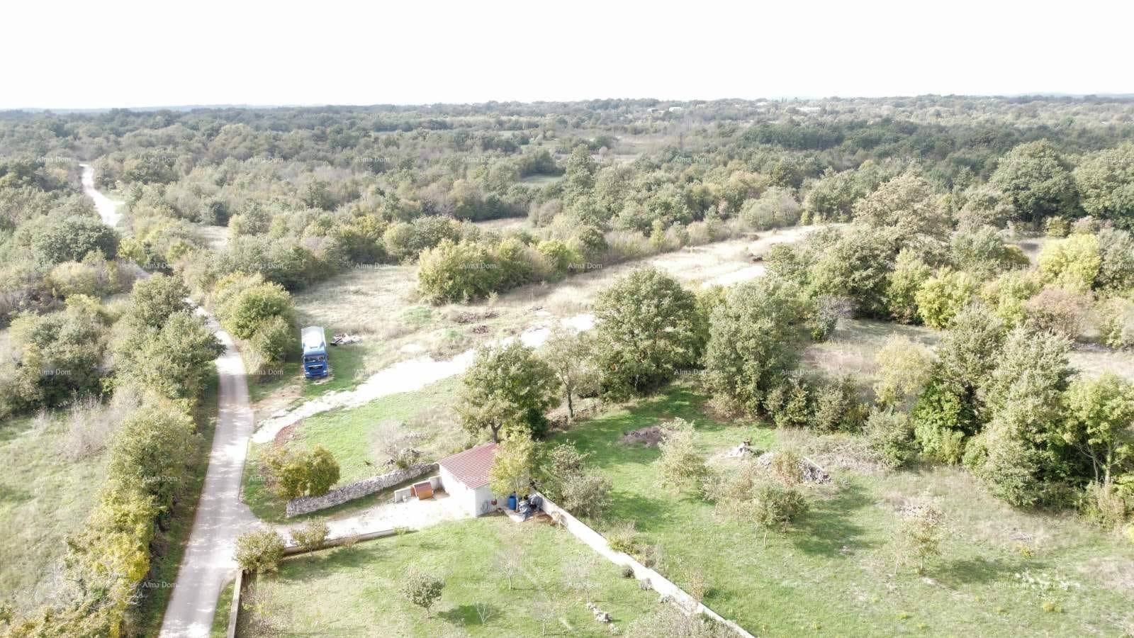 Weitläufige Luftaufnahme einer grünen Landschaft mit Wald, einem kleinen Gebäude und einer Zufahrtsstraße.