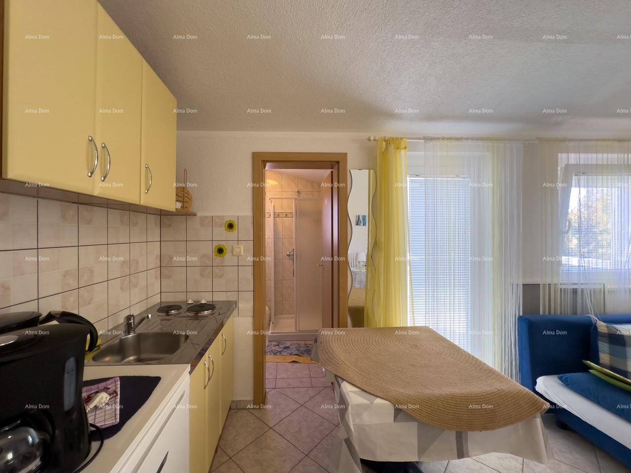 Kompakte Küchenzeile mit Kochfeld und Spüle, angrenzend an das Badezimmer.