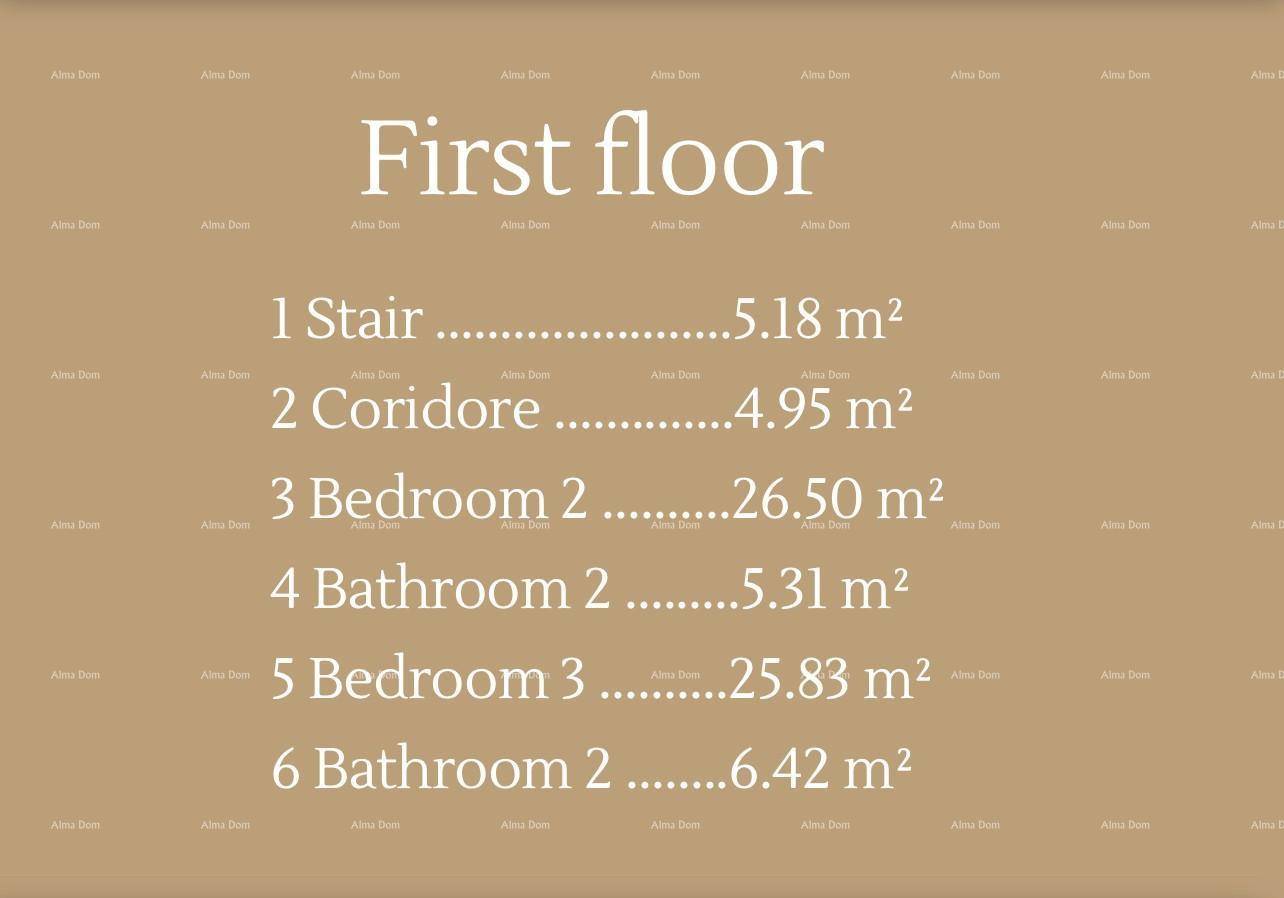 Slide 7