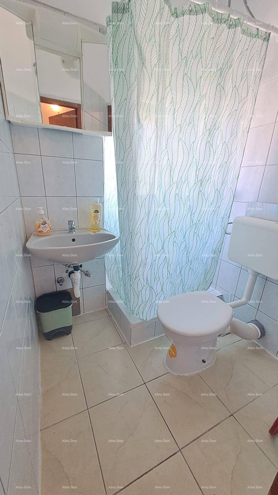 Kleines Badezimmer mit Dusche, WC und Waschbecken, ausgestattet mit einem Spiegelschrank.