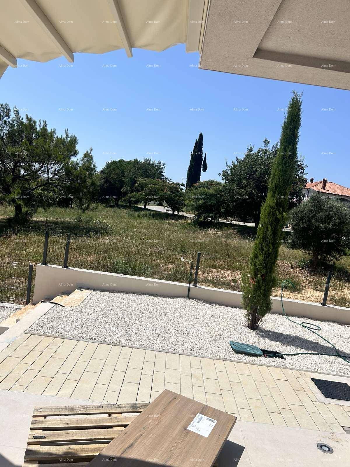 Außenbereich mit Kiesfläche, gepflastertem Weg und mediterranen Bäumen unter blauem Himmel.