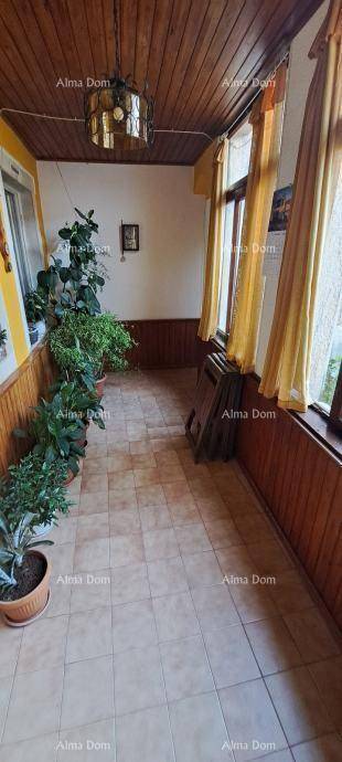 Heller Wintergarten mit Holzverkleidung, Fliesenboden und vielen Topfpflanzen.