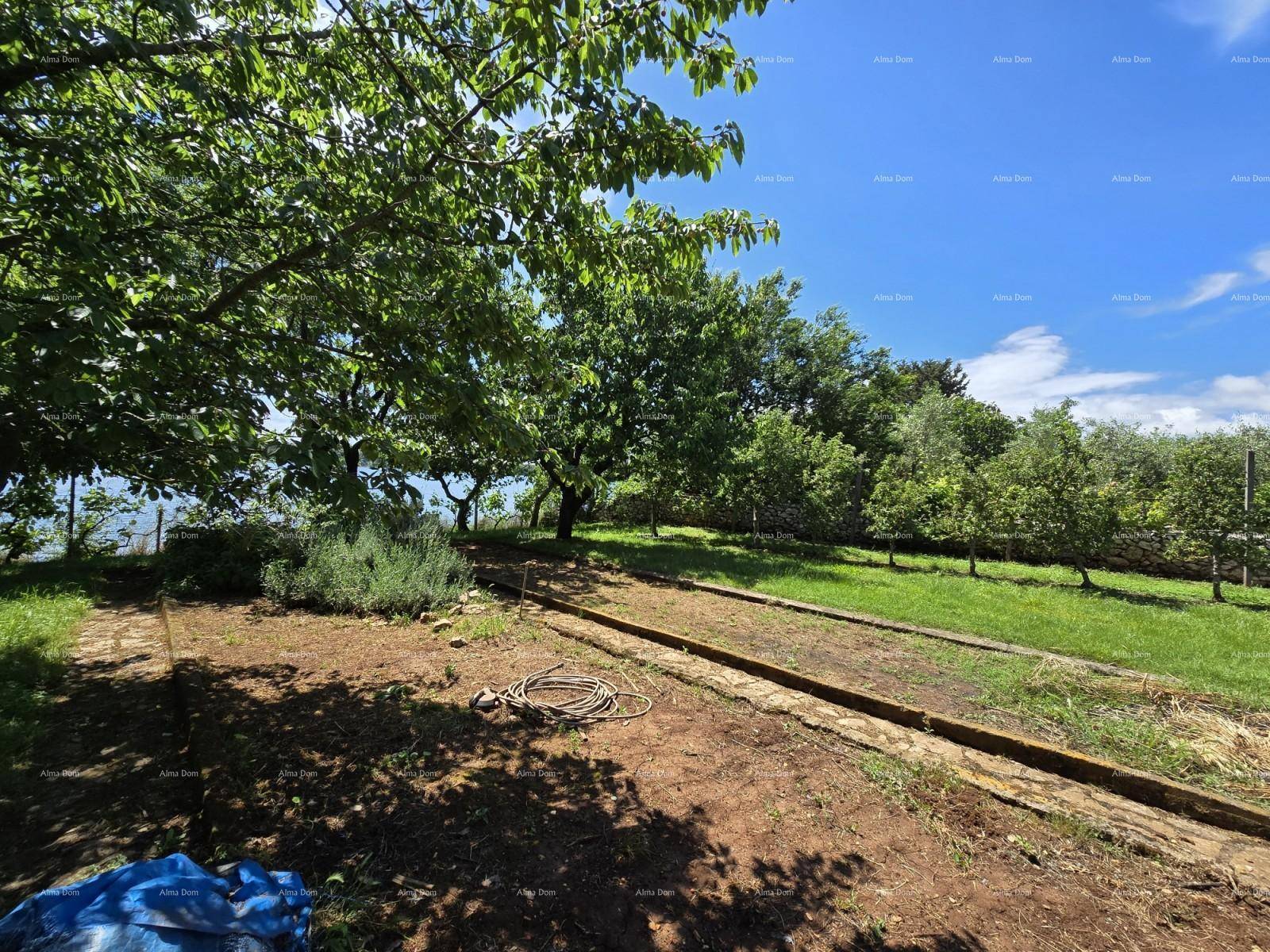 Weitläufiger Garten mit Anbauflächen, Obstbäumen und Blick auf das Wasser im Hintergrund.