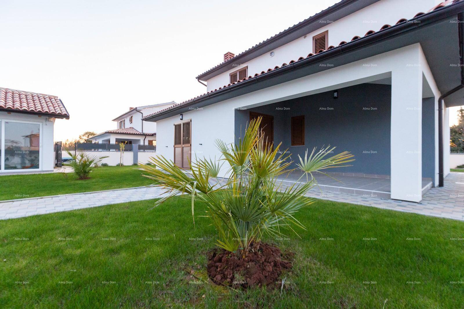 Gepflegter Gartenbereich mit junger Palme und überdachtem Eingangsbereich des Hauses.