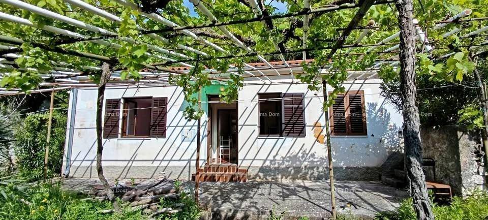 Vorderansicht des Hauses mit weißer Fassade, braunen Fensterläden und einer grünen Weinrebenpergola.