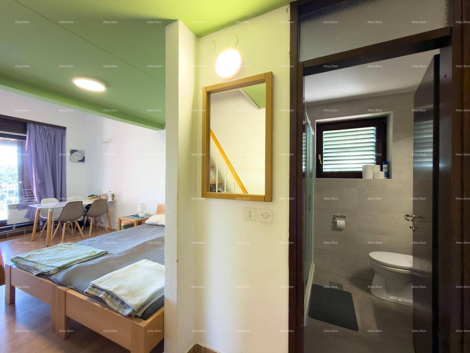 Blick in einen kombinierten Wohn- und Schlafbereich mit angrenzendem Badezimmer.