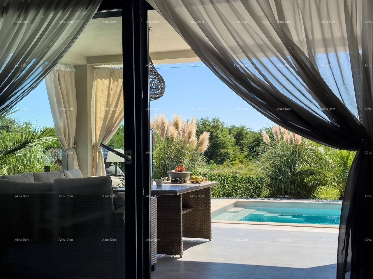 Blick vom Innenraum auf die möblierte Terrasse und den erfrischenden Poolbereich, umgeben von Natur.