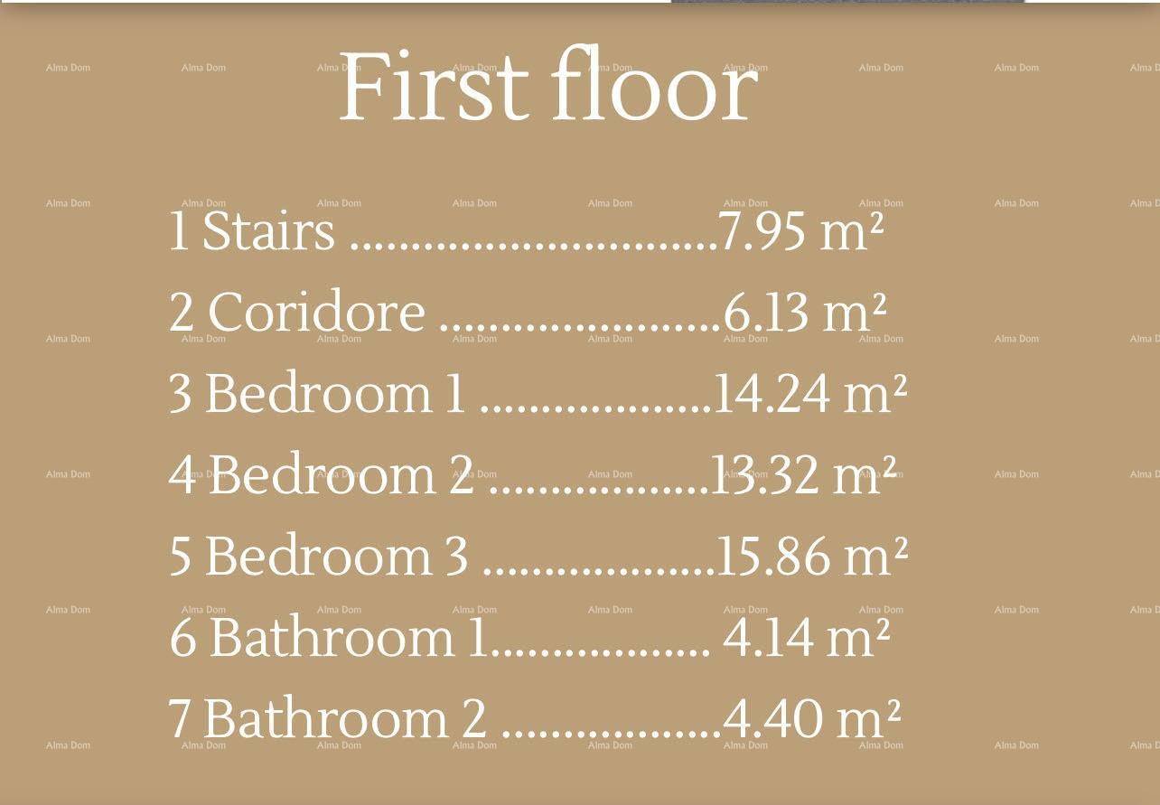 Slide 6