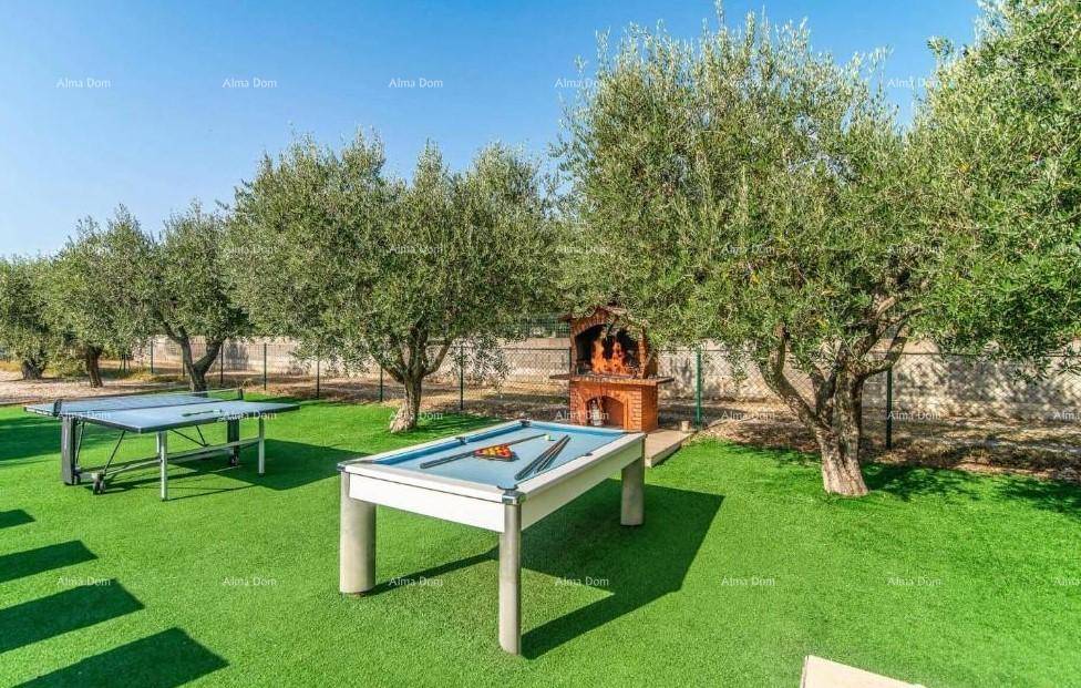 Freizeitbereich im Garten mit Billardtisch, Tischtennisplatte und gemauertem Grill unter Olivenbäumen.