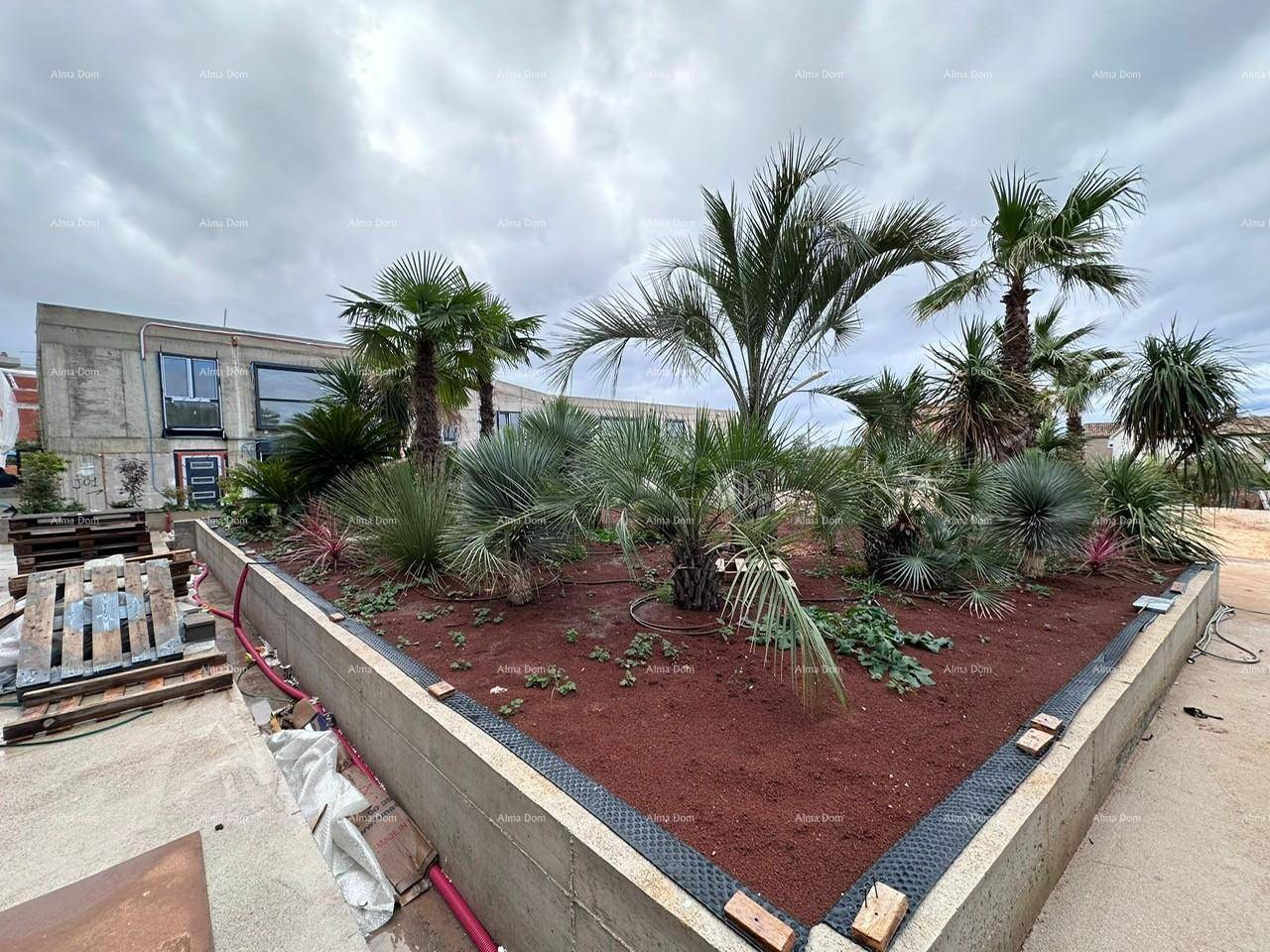 Angelegter Gartenbereich mit Palmen und mediterraner Bepflanzung vor der modernen Gebäudefassade.