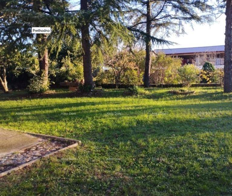 Weitläufiger Rasenbereich im Garten, umgeben von hohen Bäumen und viel Grün.