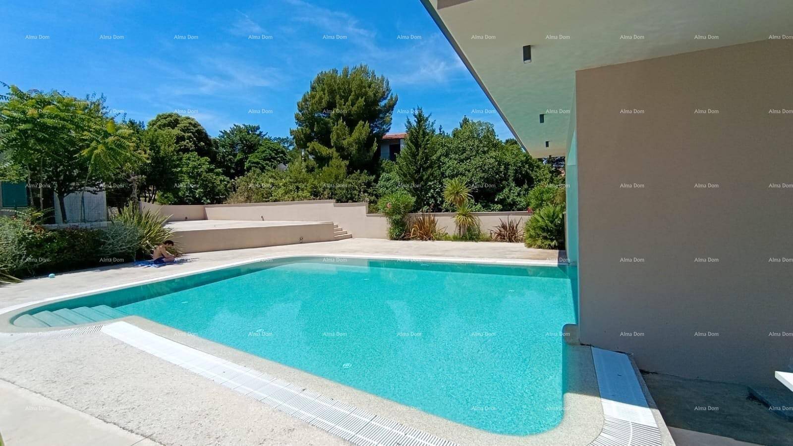 Großer Außenpool umgeben von viel Grün und einer sonnigen Terrasse.