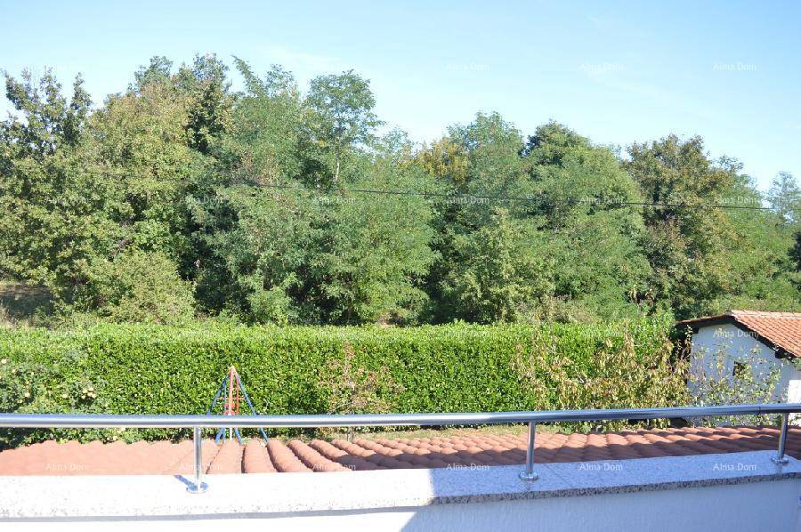 Grüner Ausblick von der Terrasse mit üppiger Hecke und Bäumen im Hintergrund unter blauem Himmel.