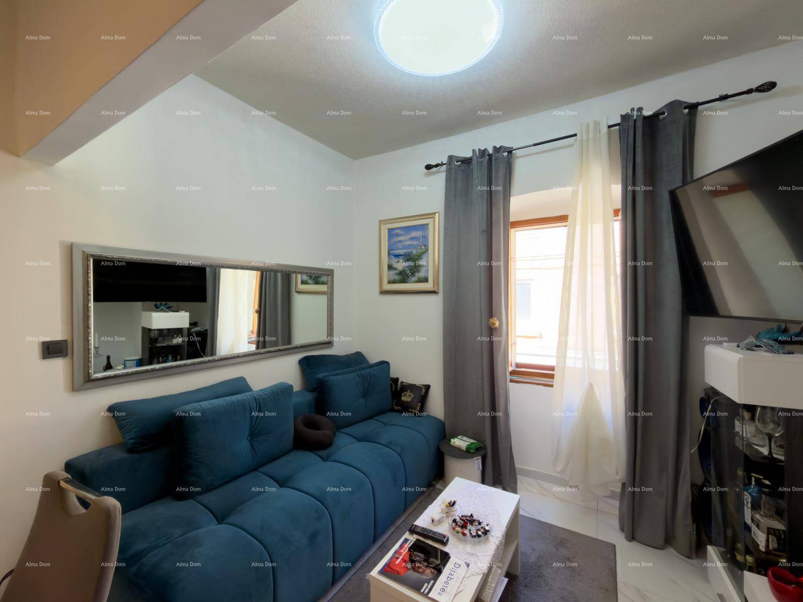 Gemütliches Wohnzimmer mit blauem Sofa, Couchtisch und Fernseher.