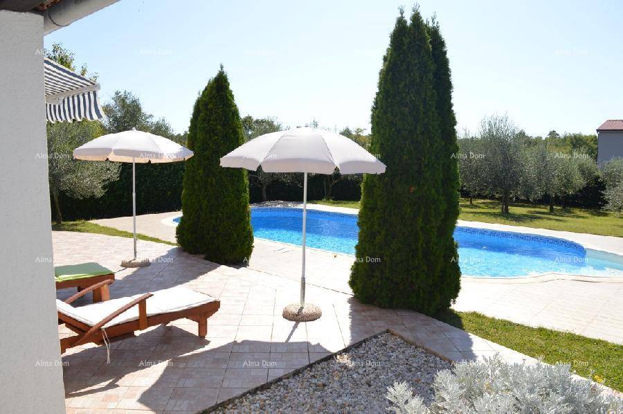 Entspannungsbereich am Pool mit Sonnenliegen, Sonnenschirmen und hohen Zypressen unter blauem Himmel.