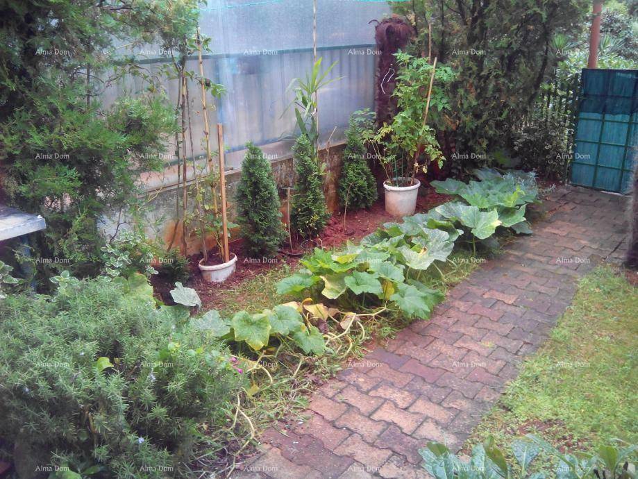 Gartenbereich mit Ziegelweg, verschiedenen Pflanzen und einem Bereich für den Anbau von Gemüse.