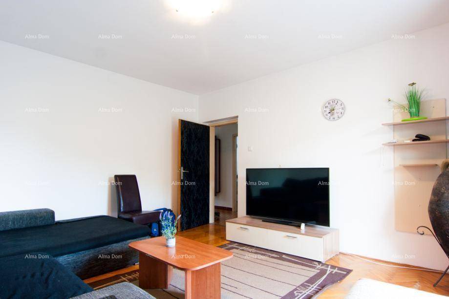 Geräumiges Wohnzimmer mit Sofa, Couchtisch und Holzboden, Blick auf eine offene Tür.