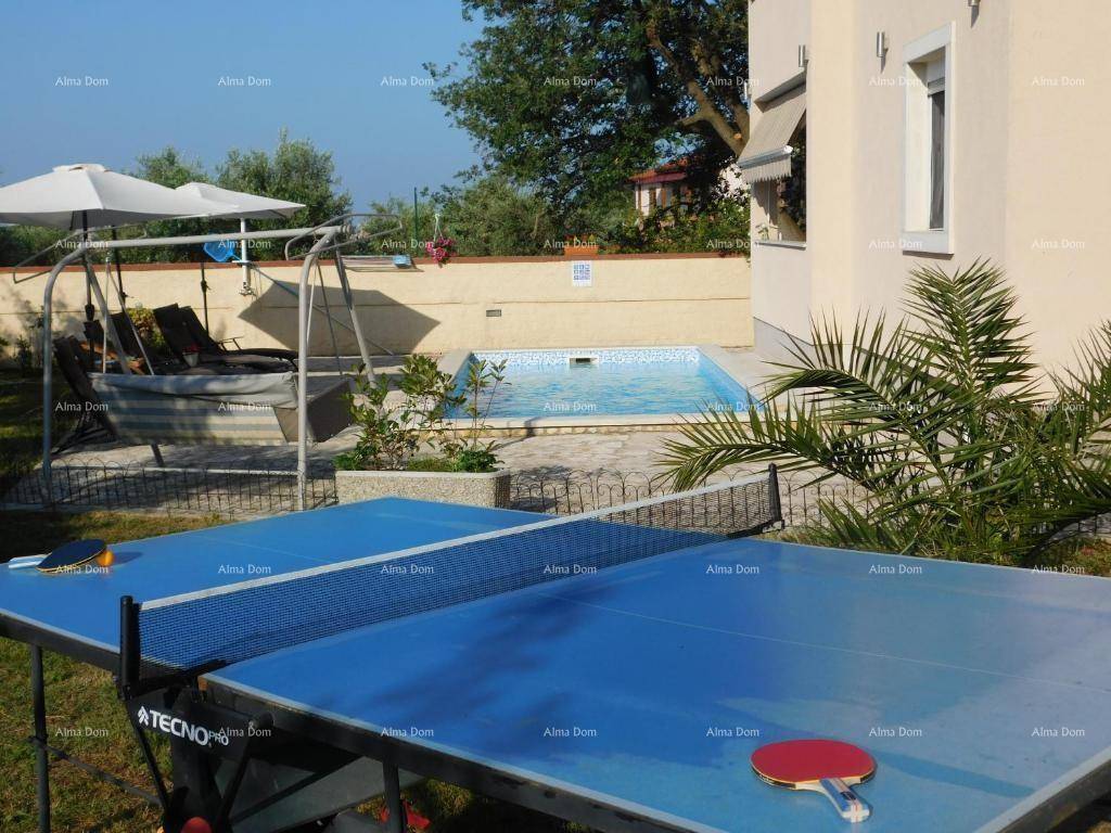 Sonniger Gartenbereich mit Tischtennisplatte, Schaukel und Pool im Hintergrund für Freizeitaktivitäten.