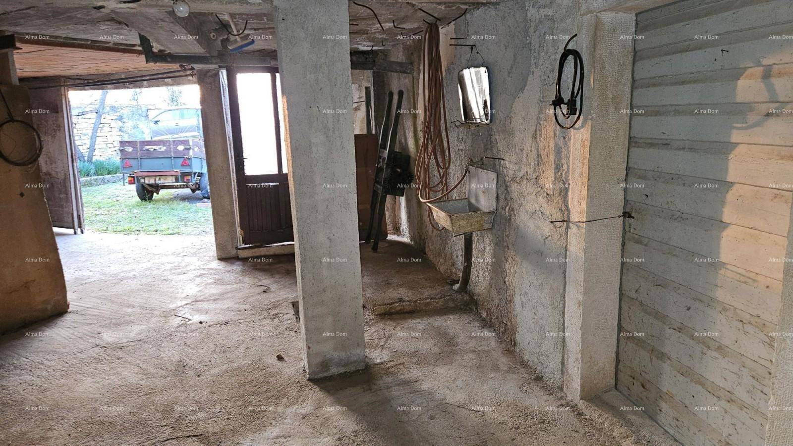 Geräumiger Kellerraum mit Betonboden und Säulen, der als Lagerfläche genutzt werden kann.