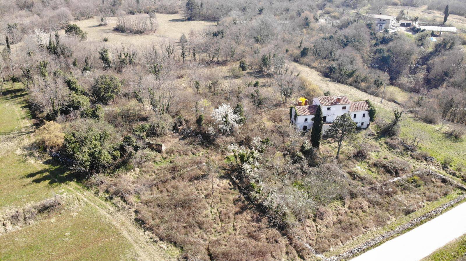 Weitläufiges Anwesen in ländlicher Umgebung mit viel Grün und unberührter Natur aus der Vogelperspektive.