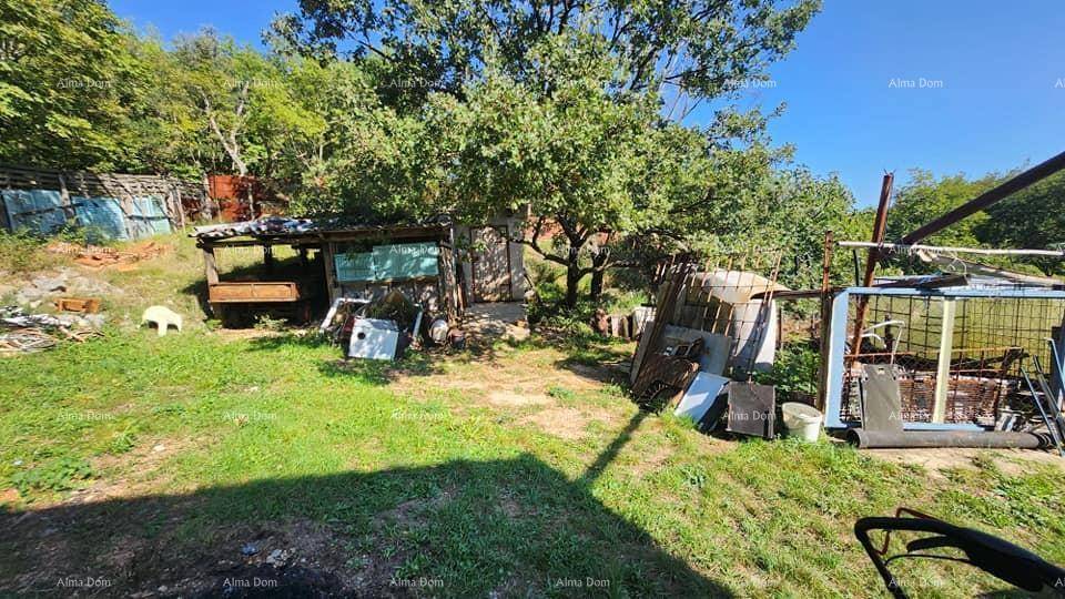 Unaufgeräumter Gartenbereich mit verschiedenen Materialien und einem Schuppen unter Bäumen.