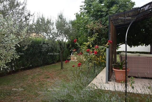 Gepflegter Gartenbereich mit Olivenbäumen, Rosen und einer kleinen Terrasse.