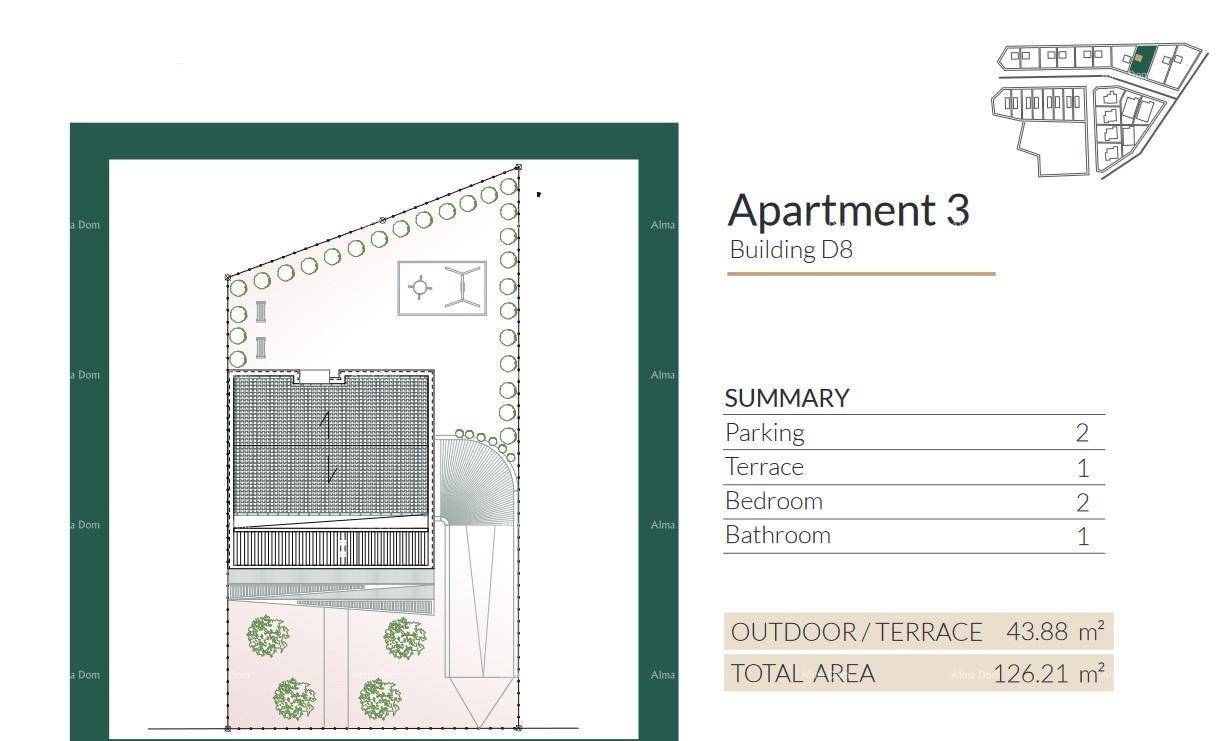 Slide 7
