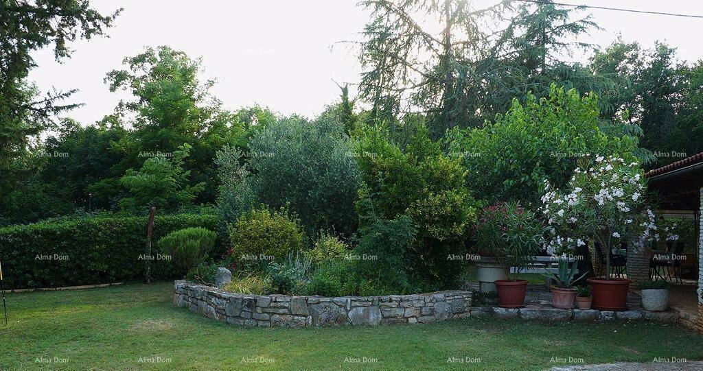 Üppiger Gartenbereich mit vielfältigen Pflanzen, einem erhöhten Steinbeet und einer dichten Hecke.